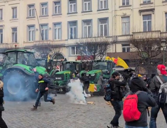 agrotes Brussels