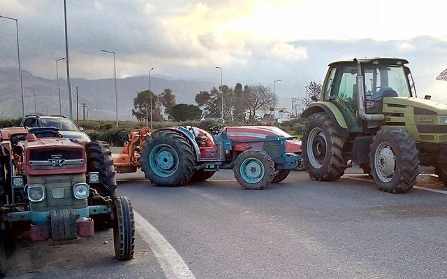 agrotes-hrakleio-03
