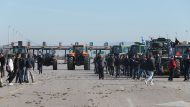 agrotes – margara-2