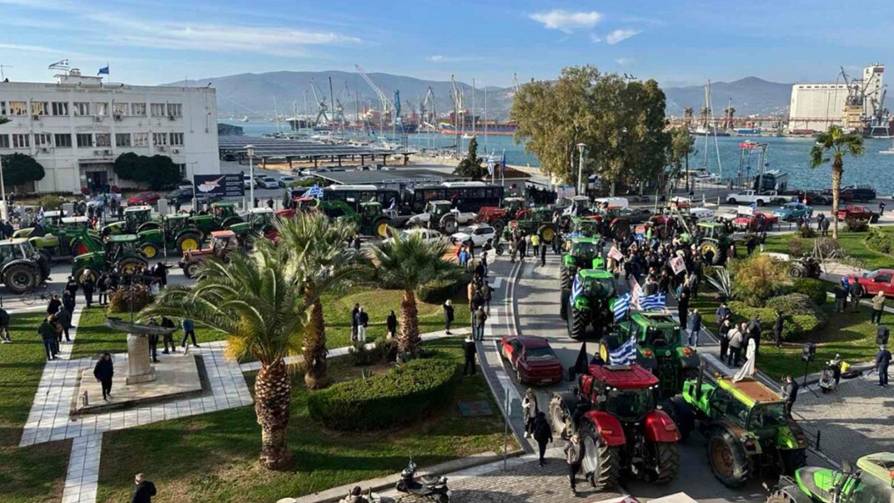 agrotes-volos-2