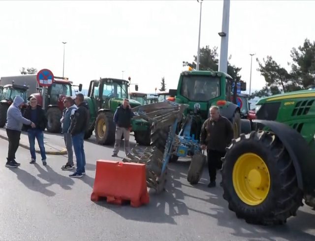 agrotes_euzonon-kilkis-1