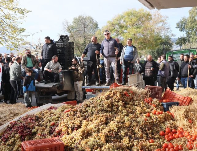 agrotes_kavala