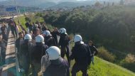 agrotes_mat-gefyra-riou-4