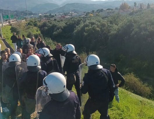 agrotes_mat-gefyra-riou-4