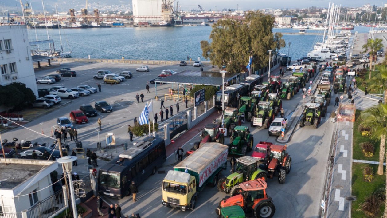 agrotes_volos