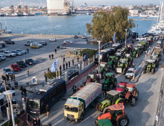 agrotes_volos