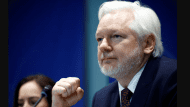 assange