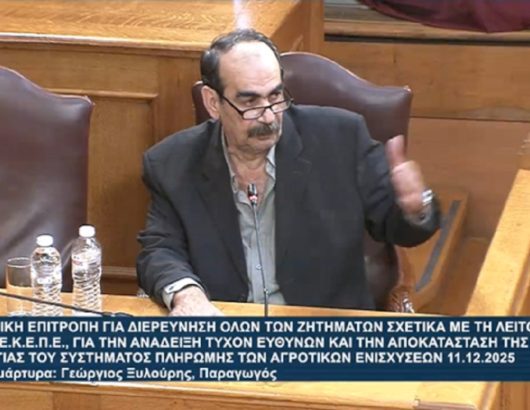 frapes-exetastiki-xylouris-mak1