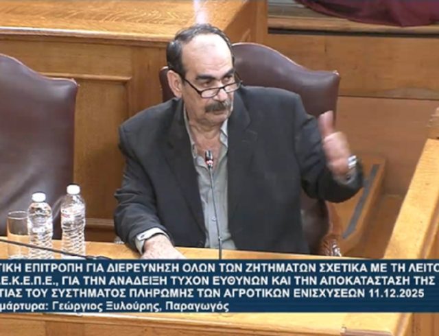frapes-exetastiki-xylouris-mak1