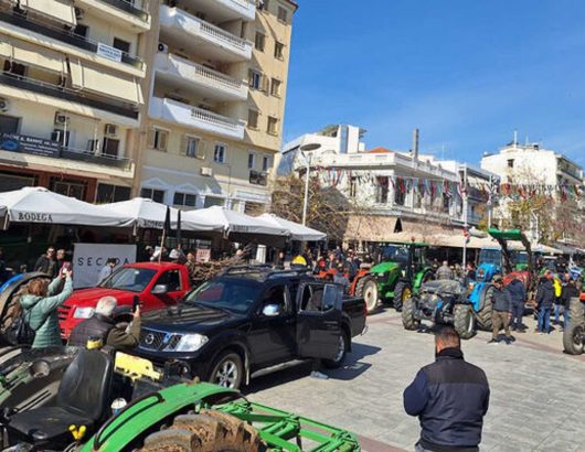 kalamata-agrotes-6