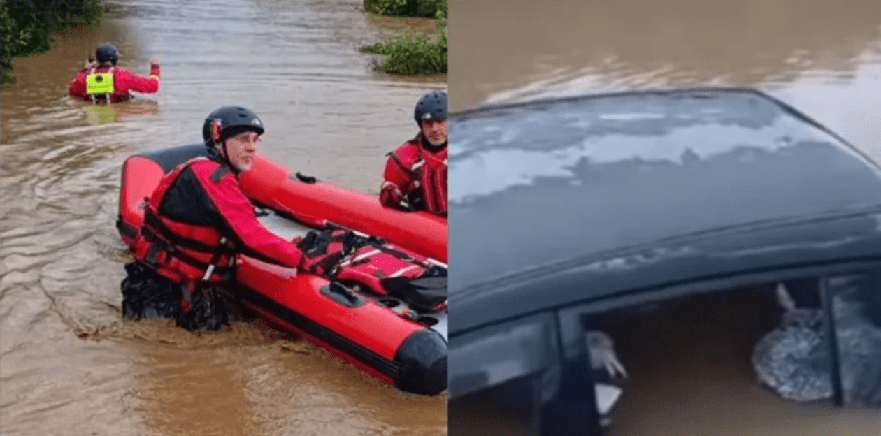 lakonia-plimmires