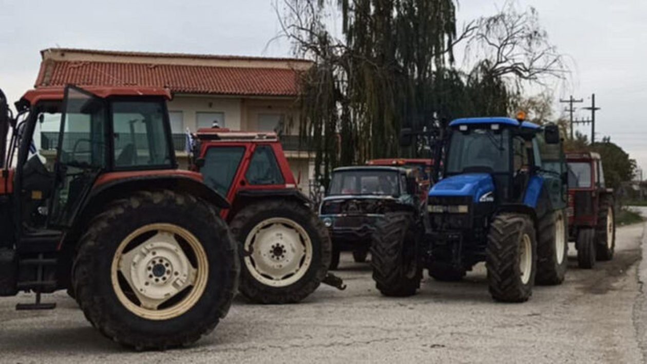 leukonas-agrotes-2