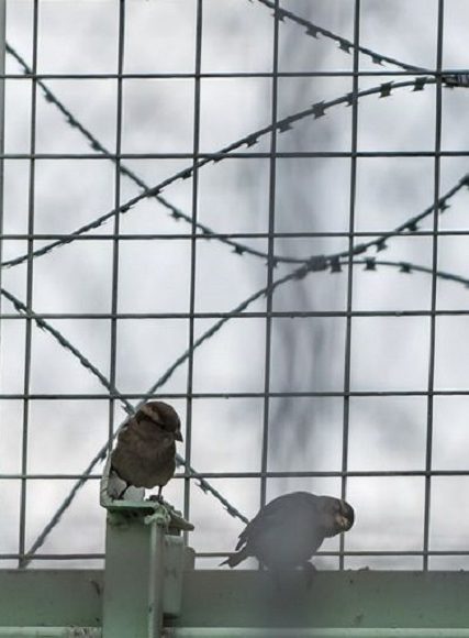 prison