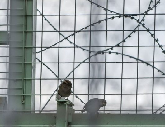 prison