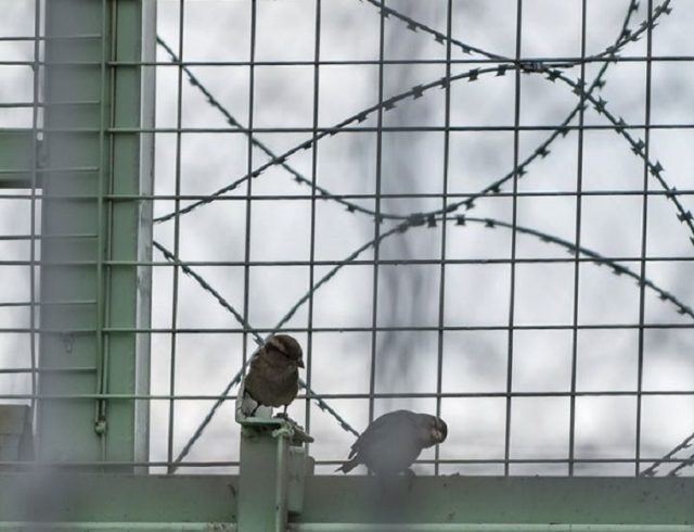 prison
