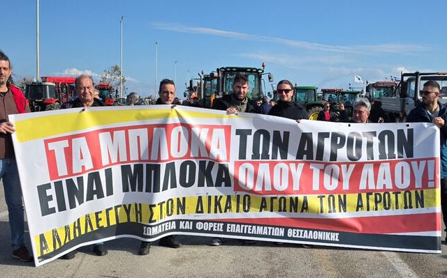 somateia-ebe-agrotes-1