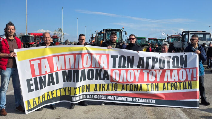 somateia-ebe-agrotes-1