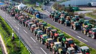 agrotes-35-1-1024×577
