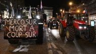 agrotes-gallia-640×426