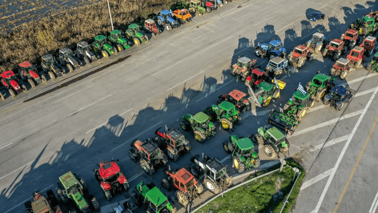 agrotes-malgara-10201