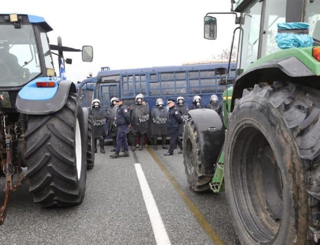 agrotes_MAT