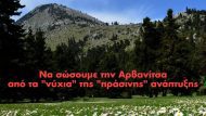 arvanitsa12