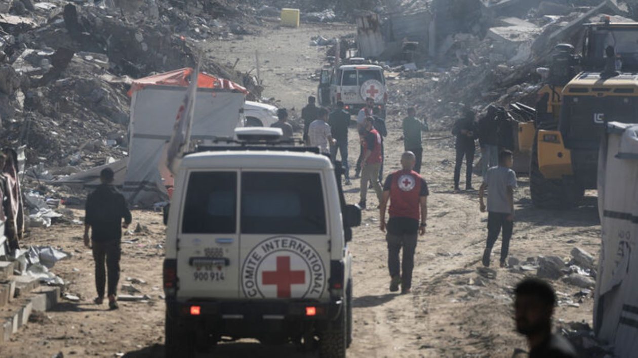 ereipia-gaza