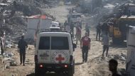 ereipia-gaza