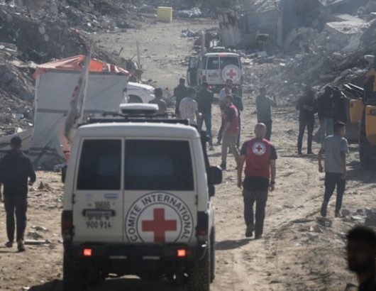 ereipia-gaza