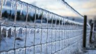 ice