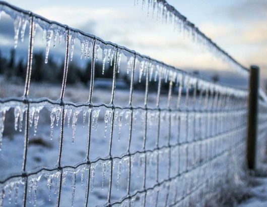 ice
