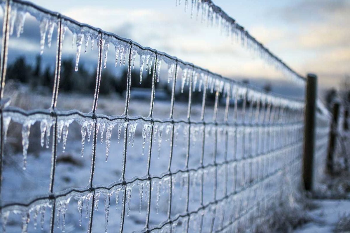 ice