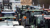 mercosur_strasbourg