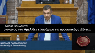 νικολαος παπαδοπουλος