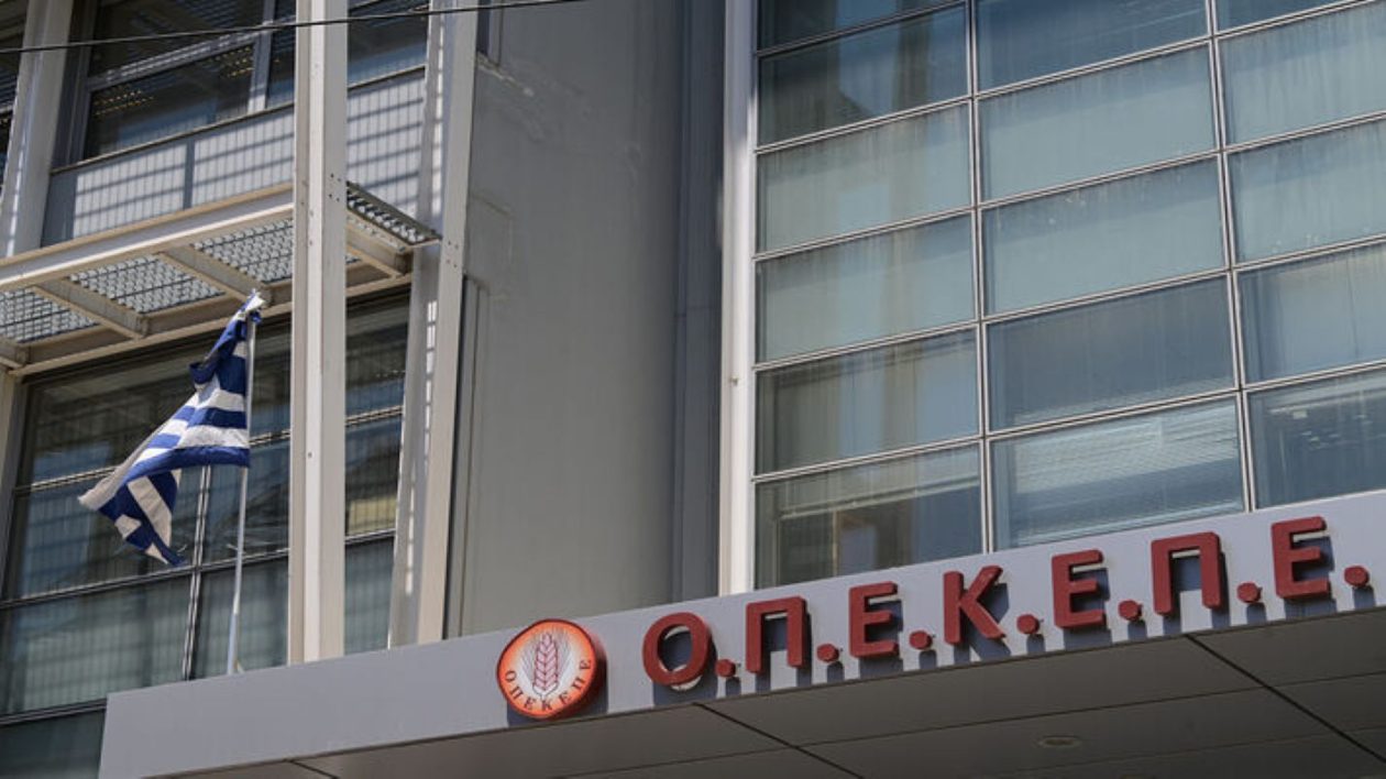 opekepe-7
