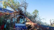 treno-ileia2