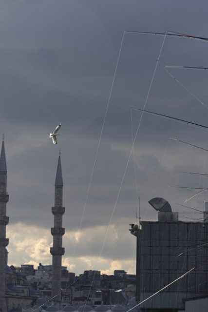 turkey-1024×683