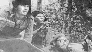 04.15.-1961-eisvolh 715Χ460