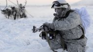arctiki_nato