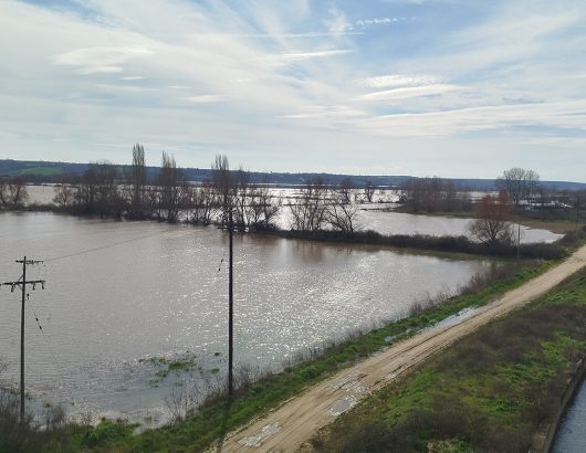 evros-labara-3