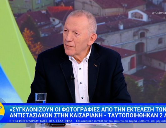 pafilis-ant1