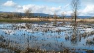 plimmirismena-xorafia-ioannina-ex-768×576