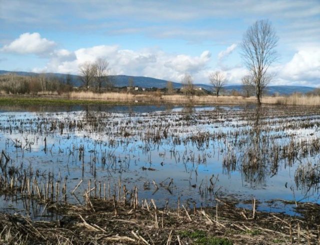 plimmirismena-xorafia-ioannina-ex-768×576