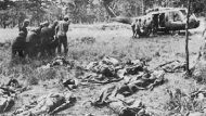06.08.-Vietnam-1965- 715Χ460