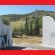 ΚΟΥΡΝΟΒΟ 715Χ460
