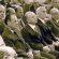 08.23.-H-dikh-prin-48-chronia-ton-praxikophmation-ths-chountas- 800Χ800