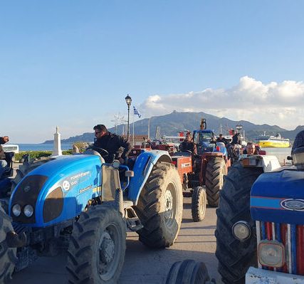 agrotes-zakinthos-4