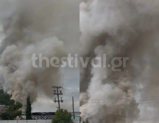 fotia-etaireia-anakyklosis-21-4-26-1