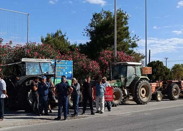 limnos-agrotes-3