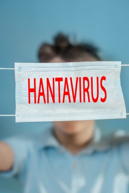 hantavirus-196807488s-1200×800